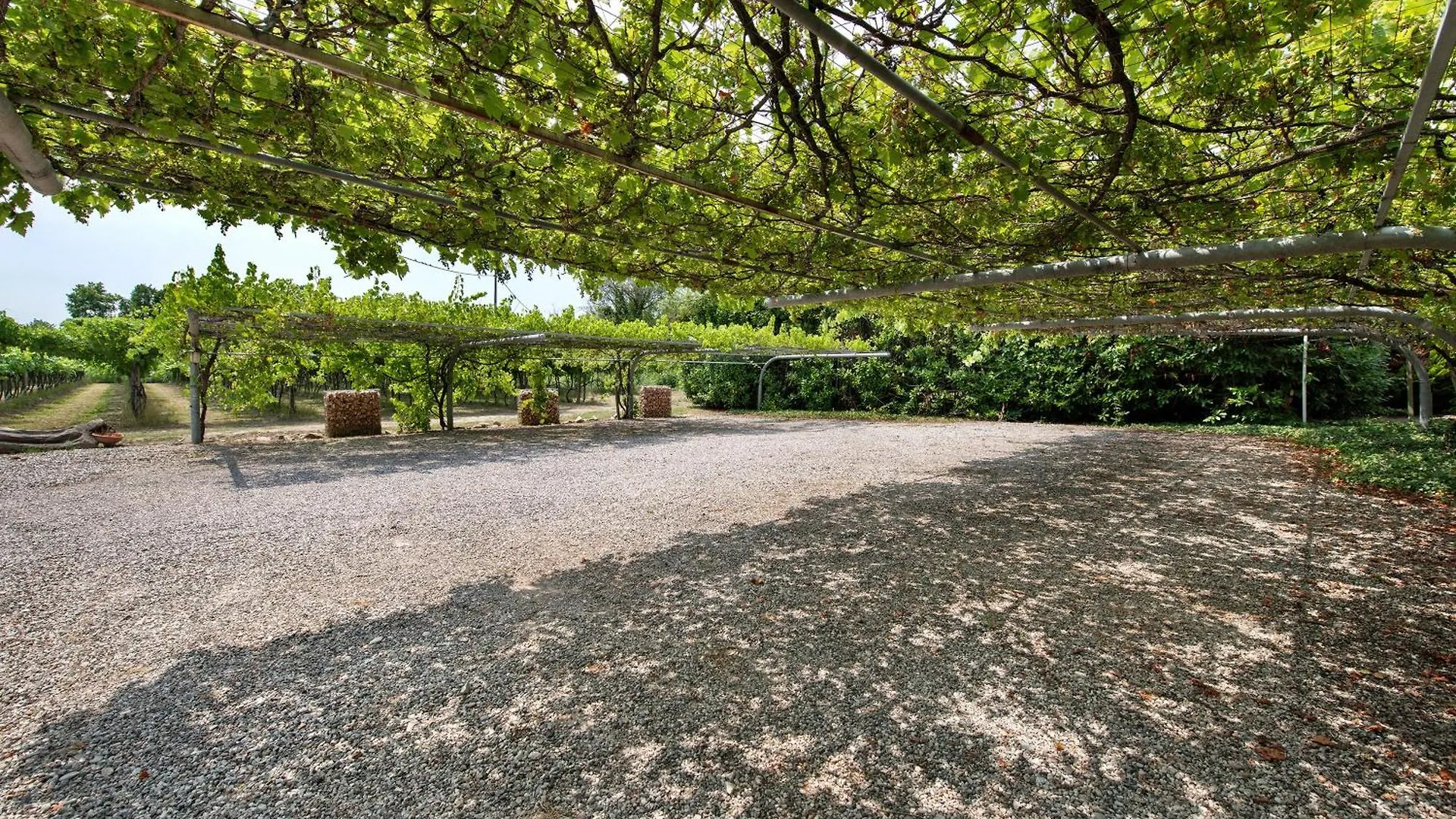 Casa vacanze New Agriturismo Ca Persiane Cavaion Veronese Italia